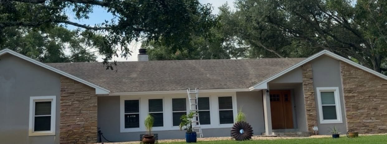 Freshly cleaned shingle roof